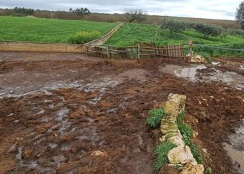 Discarica degli orrori nella Murgia tarantina: liquami e carcasse tra i campi