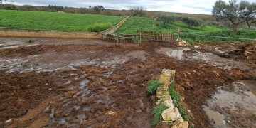 Discarica degli orrori nella Murgia tarantina: liquami e carcasse tra i campi