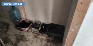 Officina abusiva scoperta a Paolo VI: sequestri e denuncia della Polizia di Stato