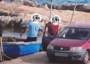 Taranto, mitilicoltura abusiva nel Mar Piccolo: tre denunce e maxi sequestro