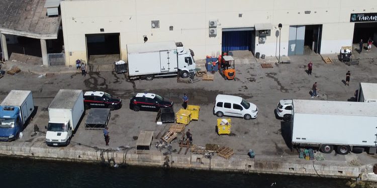 Maxi blitz a Taranto: arresti per droga, scoperto un lavoratore in nero e sequestrati 660 chili di pesce