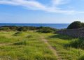 Taranto, nasce il Parco storico naturalistico tematico: 11 ettari tra natura, storia e cultura