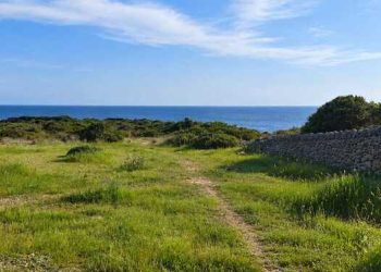 Taranto, nasce il Parco storico naturalistico tematico: 11 ettari tra natura, storia e cultura