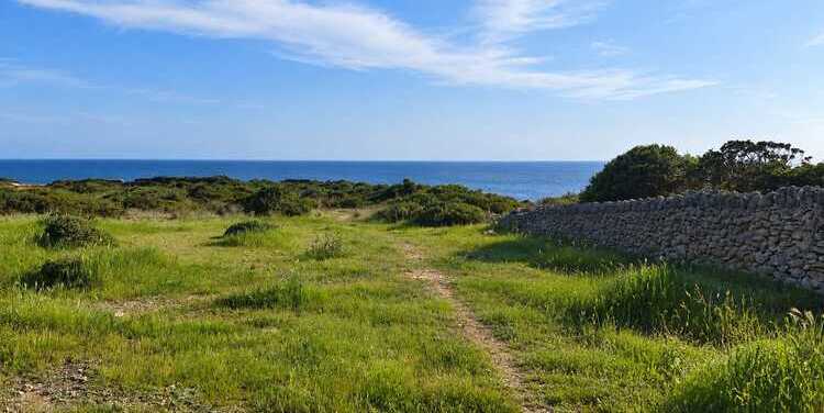 Taranto, nasce il Parco storico naturalistico tematico: 11 ettari tra natura, storia e cultura